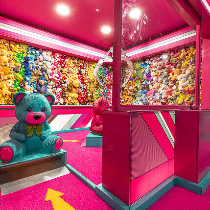 Sheffield Teddy Bear indoor view